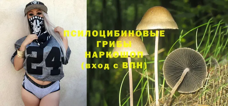 Псилоцибиновые грибы Magic Shrooms  Спасск-Рязанский 